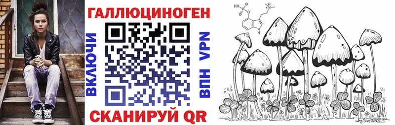 Псилоцибиновые грибы мицелий  Островной 